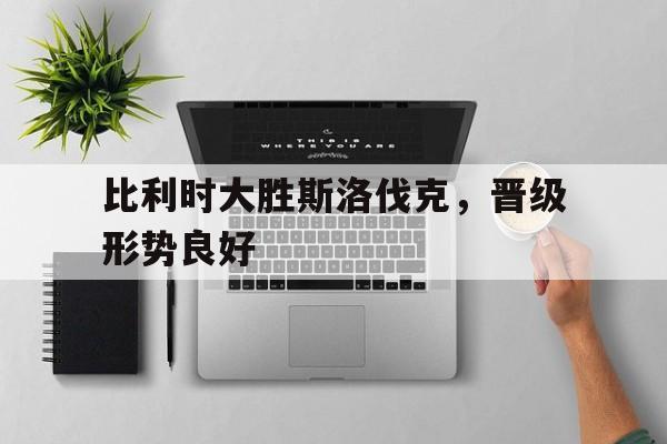 关于比利时大胜斯洛伐克，晋级形势良好的信息